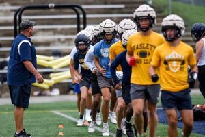 Go Haslett High School Football! Vikings Pride | Best Schools in America: Top Public & Private Options