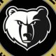 Mt. Juliet High School Football: Golden Bears Pride | Best Schools in America: Top Public & Private Options