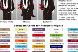 High School Graduation Gown Colors & Their Meanings | Best Schools in America: Top Public & Private Options