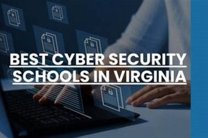 Top Cyber Security Schools: 2024 Guide | Best Schools in America: Top Public & Private Options