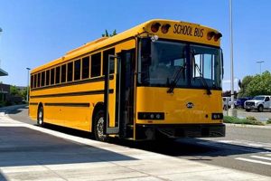 Safe & Reliable High School Bus Transportation Best Schools in America: Top Public & Private Options Safe & Reliable High School Bus Transportation | Best Schools in America: Top Public & Private Options