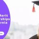 Top Colleges with Best Merit Aid Scholarships | Best Schools in America: Top Public & Private Options
