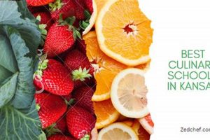 Top Culinary Schools in Kansas City 2024 | Best Schools in America: Top Public & Private Options