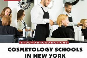 Top 10 Best Cosmetology Schools: 2024 Guide | Best Schools in America: Top Public & Private Options