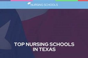 Best Texas Nursing Schools | Best Schools in America: Top Public & Private Options