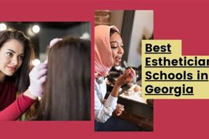 Top Esthetician Schools in Georgia: 2024 Guide | Best Schools in America: Top Public & Private Options