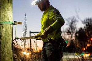 Best Lineman School In The Us | Best Schools in America: Top Public & Private Options