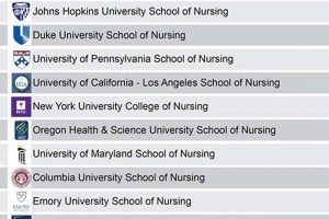Top 10 Best Schools of Nursing: 2024 Guide | Best Schools in America: Top Public & Private Options