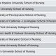 Top 10 Best Schools of Nursing: 2024 Guide | Best Schools in America: Top Public & Private Options