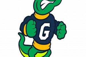 Watch Gautier High School Football Live Stream Online! | Best Schools in America: Top Public & Private Options