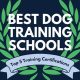 Top Best Dog Training Schools: Find Your Fit | Best Schools in America: Top Public & Private Options