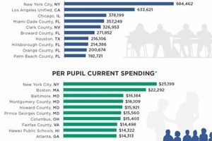 Solve "Largest US Public School Crossword Clue" | Best Schools in America: Top Public & Private Options