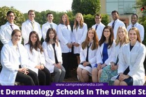 Top US Schools for Dermatology Programs 2024 | Best Schools in America: Top Public & Private Options