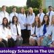 Top US Schools for Dermatology Programs 2024 | Best Schools in America: Top Public & Private Options