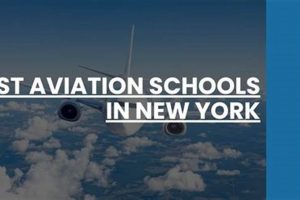Top Aviation Schools in New York: 2024 Guide | Best Schools in America: Top Public & Private Options