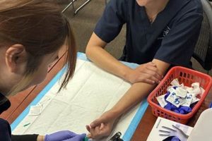 Find Top Phlebotomy Schools Near You | Best Schools in America: Top Public & Private Options