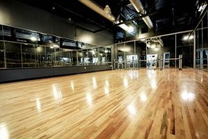 Find the Best Dance Studio Near You | Top Studios | Best Schools in America: Top Public & Private Options