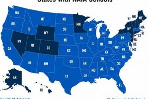 Top 10 Best NAIA Basketball Schools: A Guide | Best Schools in America: Top Public & Private Options