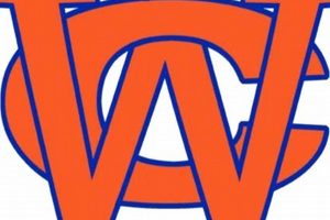 Your Guide to Wayne County High School Football | Best Schools in America: Top Public & Private Options