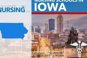 Top 10 Best Nursing Schools in Iowa 2024 | Best Schools in America: Top Public & Private Options