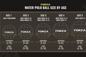 HS Water Polo Ball Size Guide: Official Sizes | Best Schools in America: Top Public & Private Options