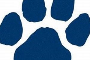 Pittsford High School Football | Best Schools in America: Top Public & Private Options