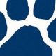 Pittsford High School Football | Best Schools in America: Top Public & Private Options