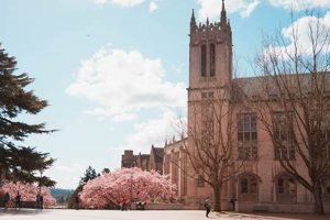 Top Psychology Schools in NC: 2024 Guide Best Schools in America: Top Public & Private Options Top Psychology Schools in NC: 2024 Guide | Best Schools in America: Top Public & Private Options