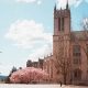 Top Psychology Schools in NC: 2024 Guide | Best Schools in America: Top Public & Private Options