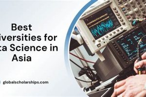 Top 10 Best Data Science Schools: 2024 Guide | Best Schools in America: Top Public & Private Options