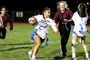 Go Mustangs! Fort Morgan High School Football News | Best Schools in America: Top Public & Private Options