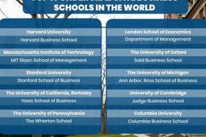Top 10 Undergraduate International Business Schools | Best Schools in America: Top Public & Private Options