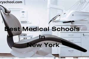 Top Medical Schools in NYC: 2024 Guide | Best Schools in America: Top Public & Private Options