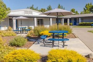 Camerado Springs Middle School Best Schools in America: Top Public & Private Options Camerado Springs Middle School | Best Schools in America: Top Public & Private Options