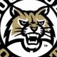 Buchholz HS Football: Latest Scores & Updates | Best Schools in America: Top Public & Private Options