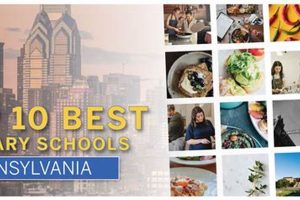 Top Culinary Schools in Pennsylvania 2024 Best Schools in America: Top Public & Private Options Top Culinary Schools in Pennsylvania 2024 | Best Schools in America: Top Public & Private Options