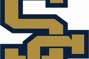 Stoney Creek HS Football: Home of the Cougars | Best Schools in America: Top Public & Private Options