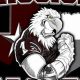 Mission High School Football | Best Schools in America: Top Public & Private Options