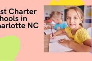 Top Charter Schools in Charlotte NC 2024 Best Schools in America: Top Public & Private Options Top Charter Schools in Charlotte NC 2024 | Best Schools in America: Top Public & Private Options