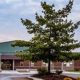 Top Endeavor Middle School: A Guide | Best Schools in America: Top Public & Private Options