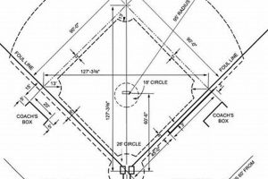 Official High School Softball Field Dimensions Guide | Best Schools in America: Top Public & Private Options