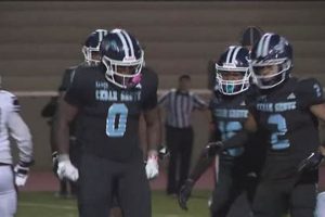 Cedar High Football: Home of the [Mascot Name] | Best Schools in America: Top Public & Private Options