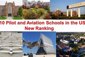 Top Aviation Schools in the USA: 2024 Guide | Best Schools in America: Top Public & Private Options