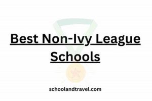 Top Best Non-Ivy League Colleges & Universities Best Schools in America: Top Public & Private Options Top Best Non-Ivy League Colleges & Universities | Best Schools in America: Top Public & Private Options