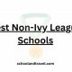 Top Best Non-Ivy League Colleges & Universities | Best Schools in America: Top Public & Private Options