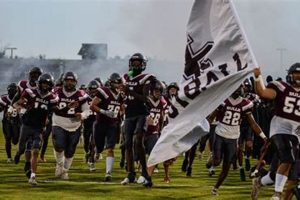 Your Guide to Wiregrass Ranch HS Football Best Schools in America: Top Public & Private Options Your Guide to Wiregrass Ranch HS Football | Best Schools in America: Top Public & Private Options
