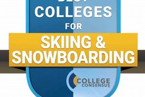 Top 5 Best Skiing Schools: Expert Guide | Best Schools in America: Top Public & Private Options