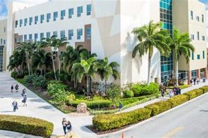 Top-Rated Fort Lauderdale, FL Schools & Colleges | Best Schools in America: Top Public & Private Options