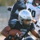 Go Gators! Everglades HS Football Updates | Best Schools in America: Top Public & Private Options