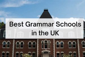 Top English PhD Programs: Best Schools & Colleges | Best Schools in America: Top Public & Private Options